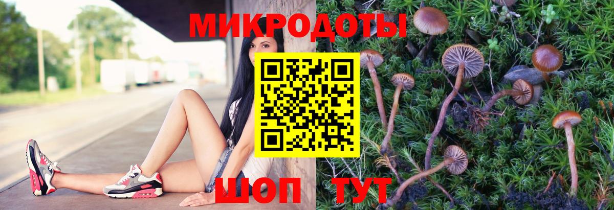 Галлюциногенные грибы Cubensis Краснодар