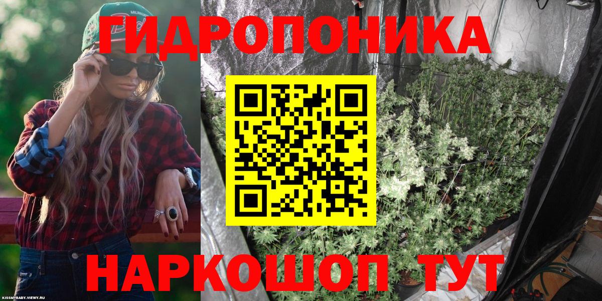 Бошки марихуана планчик  Шишки марихуана конопля  Краснодар  Вход с VPN  Канабис Amnesia 